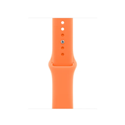Watch Accessories